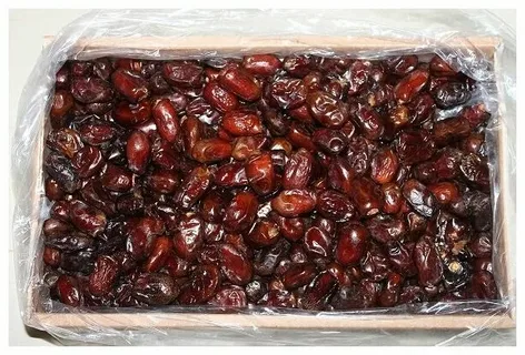 تصویر 2 از قیمت خرید خرما کبکاب عمده + فروش ویژه